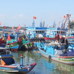 IUU - Giấy thông hành cho thủy sản Việt tiếp tục vào EU